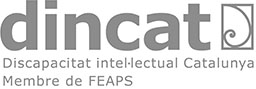 Logotip de DINCAT
