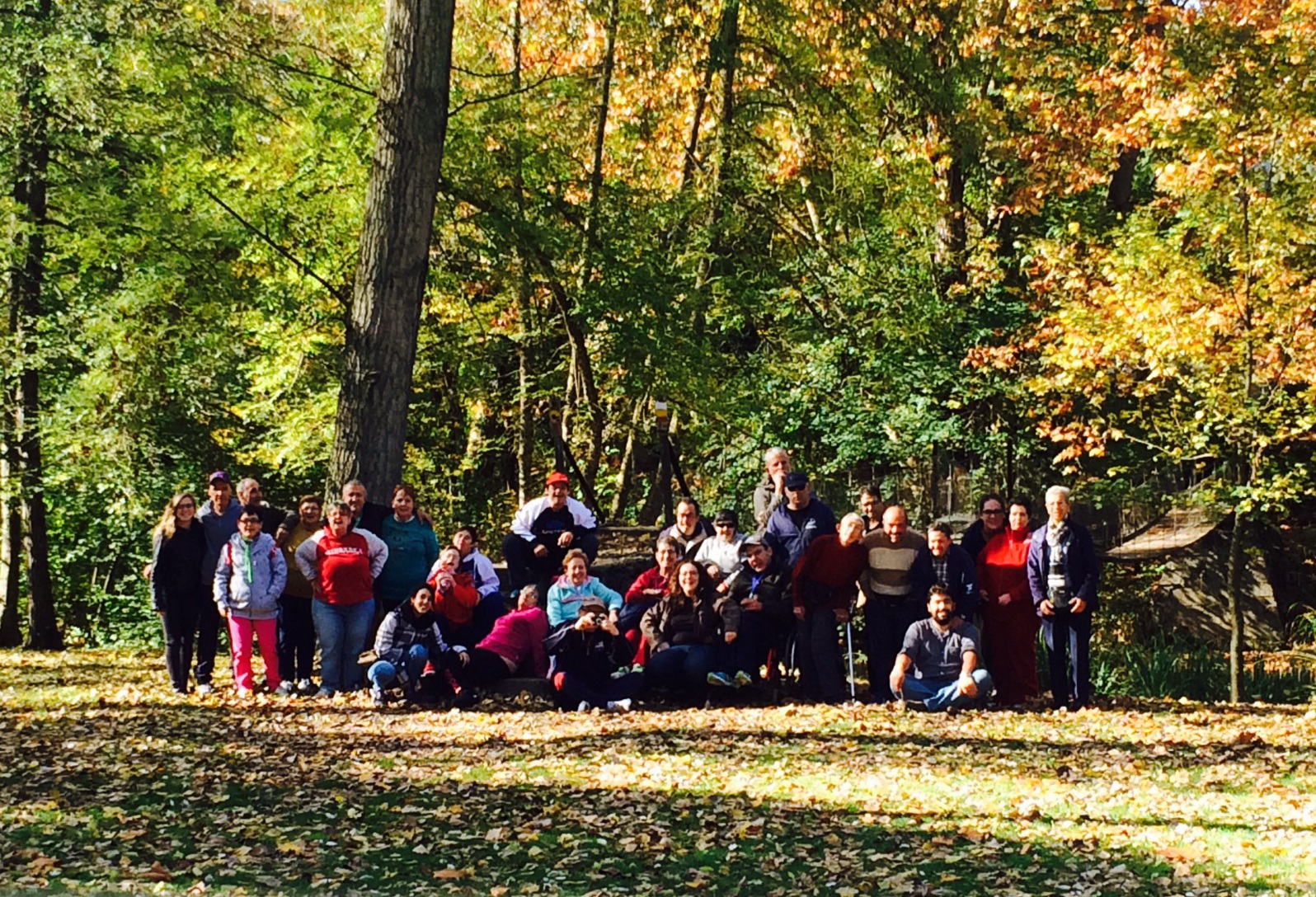 Foto de grup en un bosc de tardor, a la sortida de la castanyada